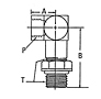 206804 Internal Pipe to SAE O-Ring